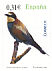 European Bee-eater Merops apiaster  2008 Flora and fauna Booklet, sa