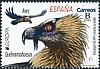 Bearded Vulture Gypaetus barbatus