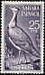 Houbara Bustard Chlamydotis undulata  1961 Birds 