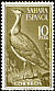 Houbara Bustard Chlamydotis undulata  1961 Birds 