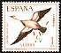 Ruddy Shelduck Tadorna ferruginea  1967 Stamp day 