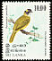 Yellow-eared Bulbul Pycnonotus penicillatus  1979 Birds 