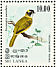 Yellow-eared Bulbul Pycnonotus penicillatus  1979 Birds Sheet