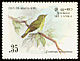 Sri Lanka White-eye Zosterops ceylonensis  1983 Birds 