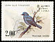 Dull-blue Flycatcher Eumyias sordidus  1983 Birds 