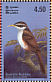 Sri Lanka Scimitar Babbler Pomatorhinus melanurus  2003 Resident birds of Sri Lanka Sheet