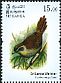 Sri Lanka Bush Warbler Elaphrornis palliseri  2017 Endemic birds of Sri Lanka 
