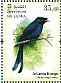 Sri Lanka Drongo Dicrurus lophorinus  2017 Endemic birds of Sri Lanka Sheet