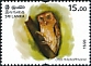 Serendib Scops Owl Otus thilohoffmanni  2020 Wild species threatened by trade in Sri Lanka 20v set