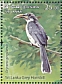Sri Lanka Grey Hornbill Ocyceros gingalensis  2021 Endemic birds of Sri Lanka  MS MS MS MS