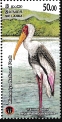 Painted Stork Mycteria leucocephala