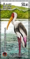 Painted Stork Mycteria leucocephala