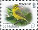 Yellow Canary Crithagra flaviventris