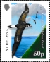 St Helena 2025 Extinct seabirds 
