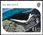 St Helena 2025 Extinct seabirds 