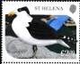 St Helena 2025 Extinct seabirds 