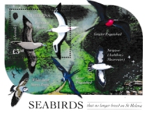 Click for enlargement