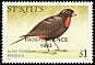 Lesser Antillean Bullfinch Loxigilla noctis