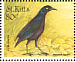 Carib Grackle Quiscalus lugubris