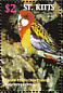 Eastern Rosella Platycercus eximius