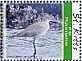 Willet Tringa semipalmata  2010 Birds of the Caribbean Sheet