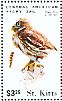 Central American Pygmy Owl Glaucidium griseiceps