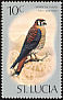 American Kestrel Falco sparverius  1976 Birds 