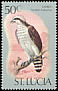 Western Osprey Pandion haliaetus  1976 Birds 