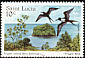 Magnificent Frigatebird Fregata magnificens  1985 Nature reserves: Frigate Island, Savannes Bay, Maria Island, Lapins Island 