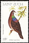 Bridled Quail-Dove Geotrygon mystacea  1998 Birds 
