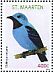 Spangled Cotinga Cotinga cayana  2012 Birds 