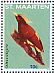 Chestnut Woodpecker Celeus elegans  2014 Birds Sheet