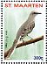 Tropical Mockingbird Mimus gilvus  2014 Birds Sheet