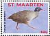 Small-billed Tinamou Crypturellus parvirostris  2016 Birds Sheet