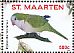 Monk Parakeet Myiopsitta monachus