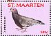 Picazuro Pigeon Patagioenas picazuro  2016 Birds III  MS MS