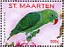 Blue-backed Parrot Tanygnathus everetti  2016 Parrots I  MS