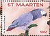 Grey Parrot Psittacus erithacus  2016 Parrots I  MS MS MS