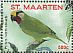 Edwards's Fig Parrot Psittaculirostris edwardsii  2016 Parrots I  MS MS MS MS