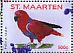 Moluccan Eclectus Eclectus roratus  2016 Parrots III  MS MS MS