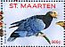 Greater Vasa Parrot Coracopsis vasa  2016 Parrots IV  MS