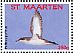 Manx Shearwater Puffinus puffinus  2017 Birds Sheet