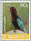 Purple-throated Carib Eulampis jugularis  2017 Birds Sheet