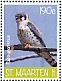 American Kestrel Falco sparverius  2017 Birds Sheet