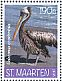 Brown Pelican Pelecanus occidentalis  2017 Birds Sheet