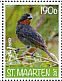 Lesser Antillean Bullfinch Loxigilla noctis  2017 Birds Sheet