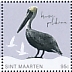 Brown Pelican Pelecanus occidentalis  2022 National bird Sheet
