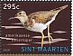 Spotted Sandpiper Actitis macularius  2024 Birds Sheet
