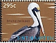 Brown Pelican Pelecanus occidentalis  2024 Birds Sheet