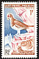 Rock Ptarmigan Lagopus muta  1963 Birds 